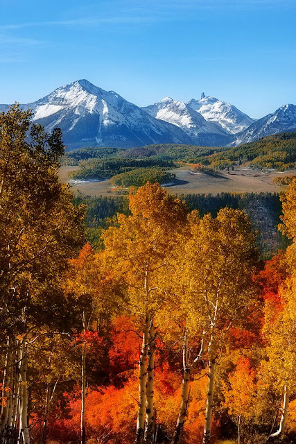 Colorado and Autumn ~ Last Dollar Road ~ between Ridgway and Telluride