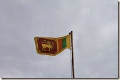 IMG_5017