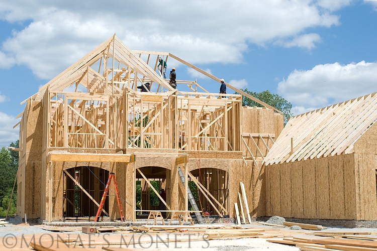 tall roof framed blog