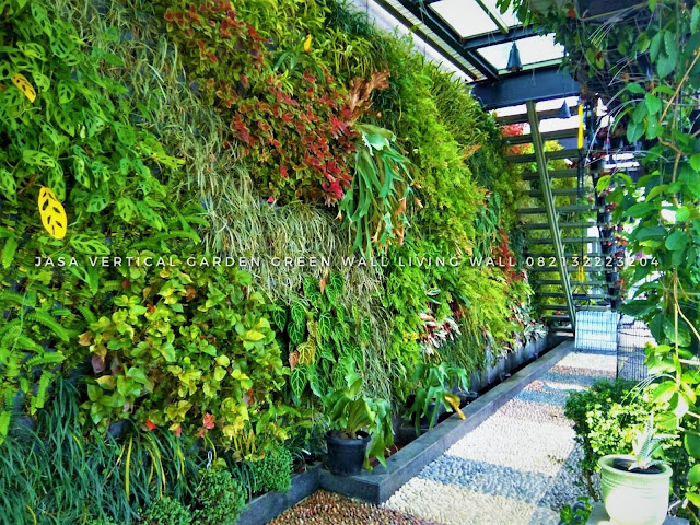 JASA PEMBUATAN VERTICAL GARDEN MALANG, JASA VERTICAL GARDEN MALANG, JASA TUKANG TAMAN VERTICAL MALANG, JASA PEMBUATAN DINDING HIDUP MALANG, JASA PEMBUATAN DINDING HIJAU MALANG, roof garden murah, roof garden design, roof garden minimalis, roof garden sederhana, roof garden detail, roof garden medan, roof garden semarang, drainasecell roof garden, versicel roof garden, roof garden indonesia, roof garden MALANG, roof garden system, roof garden, roof garden adalah, drainasecell, versicell, alat roof garden, cara membuat roof garden, peralatan roof garden, roof top, top roof garden, taman dak atas, cara membuat taman dak, taman atap roof garden, taman roof garden, roof garden apartment, tukang taman vertikal, vertikal garden murah, vertikal garden sederhana, taman vertikal dari botol bekas, taman vertikal murah, taman vertikal rumah minimalis, taman vertikal adalah, taman vertikal dalam rumah, taman vertikal, taman vertikal minimalis, taman vertikal anggrek, taman vertikal botol, taman vertikal di bandung, taman vertikal menggunakan botol bekas, taman vertikal dari batu bata, biaya taman vertikal, buat taman vertikal, contoh taman vertikal, cara taman vertikal, contoh taman vertikal garden, taman vertikal di rumah, taman vertikal di lahan sempit, taman vertikal di dinding, taman vertikal dinding, taman vertikal dengan paralon, taman vertikal depok, fungsi taman vertikal, foto taman vertikal, taman vertikal garden, taman gantung vertikal, gambar taman vertikal minimalis, cara membuat taman vertikal garden, gambar taman vertikal, griya taman vertikal, desain taman vertikal garden, taman vertikal hidroponik, taman vertikal harga, harga taman vertikal murah, taman vertikal indonesia, taman vertikal indoor taman vertikal italia, ide taman vertikal, vertical gardens, vertical gardening, wall garden, green wall, vertical gardening systems, wall planter, indoor vertical planter, planter, wall planters, green walls, greenwall, garden walls, plant wall, wall planters indoor, wall planters for outdoors, vertical blinds, vertical line, vertical farming, vertical integration, vertical angles, vertical radiators, vertical meaning, define vertical,