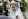 Stunning bride Pippa and groom James Matthews arrive at church for ceremony