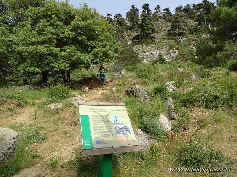 Quejigales-Tajo del Canalizo-Enamorados-Cerro Alto