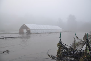 under water at joe's brook farm