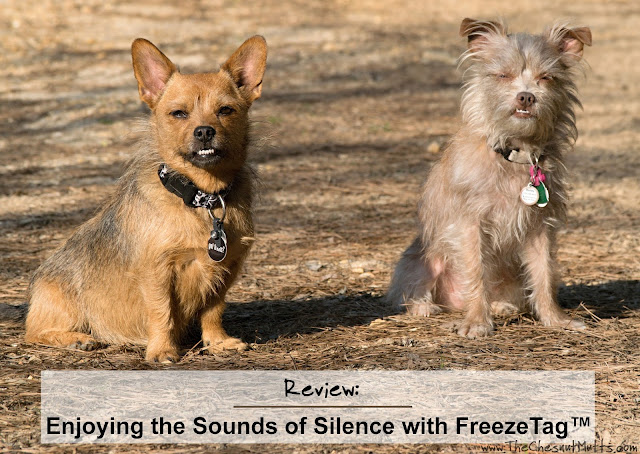Review: Enjoying the Sounds of Silence with FreezeTag™