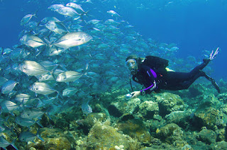 TULANBEN DIVING AND SNORKELING