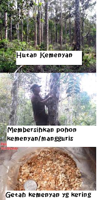 Harga Kemenyan