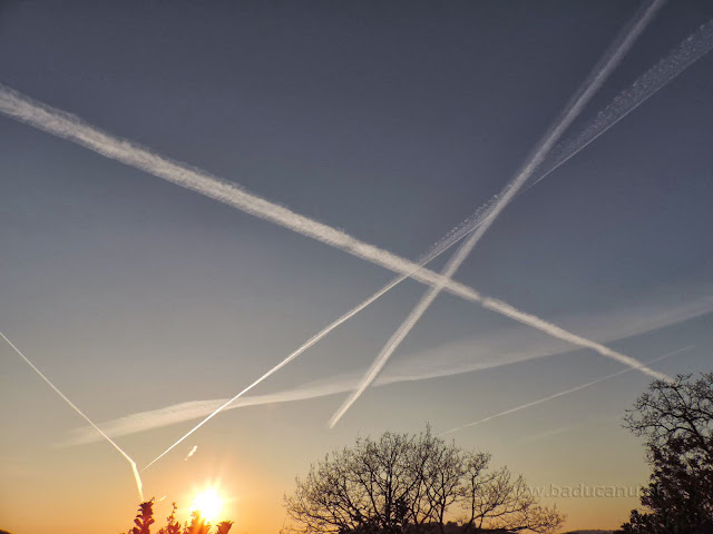 Scie aeree - © ms 2014