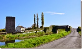 2-DSC_0431