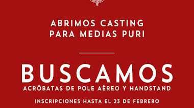 CASTING en MADRID: Se buscan ACRÓBATAS de POLE AÉREO y HANDSTAND para OBRA TEATRAL MUSICAL 2023