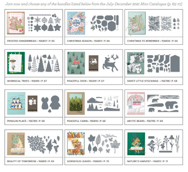 Free bundles from the Stampin' Up! July-December 2021 Mini Catalog a new Demonstrator can select along with $125 in merchandise for a Starter Kit for only $99