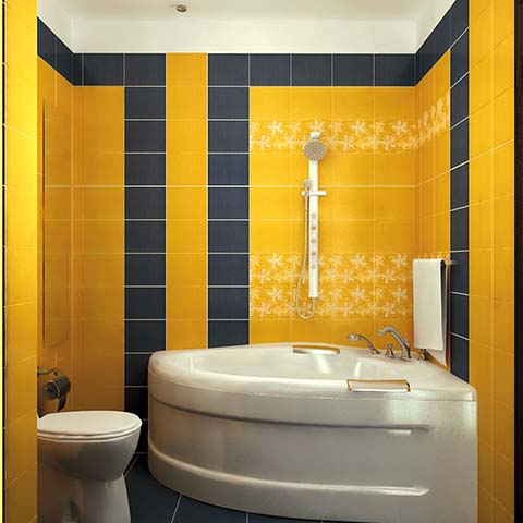 Home Remodeling Ideas on Bathroom Remodeling Ideas   Home Remodeling Ideas