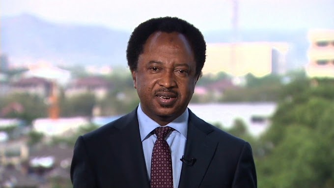 Why Buhari mustn’t exclude Niger Delta, Igbo, middle-belt from key appointments – Shehu Sani