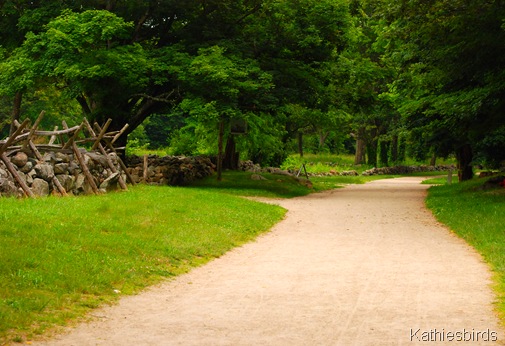 13. towards lexington-kab