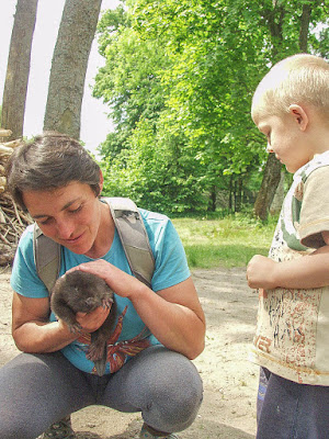 Mazury, żeglowanie, jezioro Śniardwy, Popielno, stacja PAN w Popielnie, bóbr, hodowla bobrów