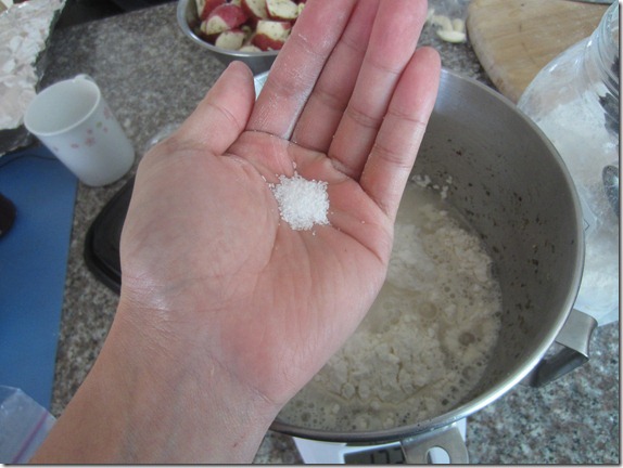 ciabatta004