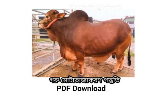গরু-মোটাতাজাকরণ-পদ্ধতি-বই-pdf-download
