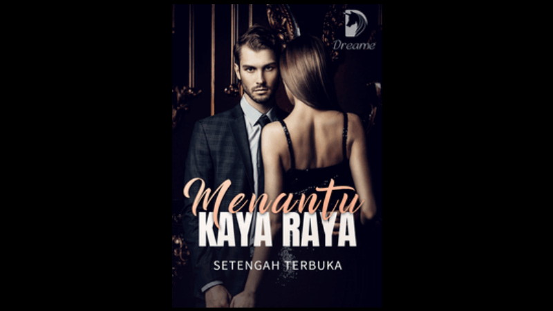 Novel Menantu Kaya Raya Full Bab