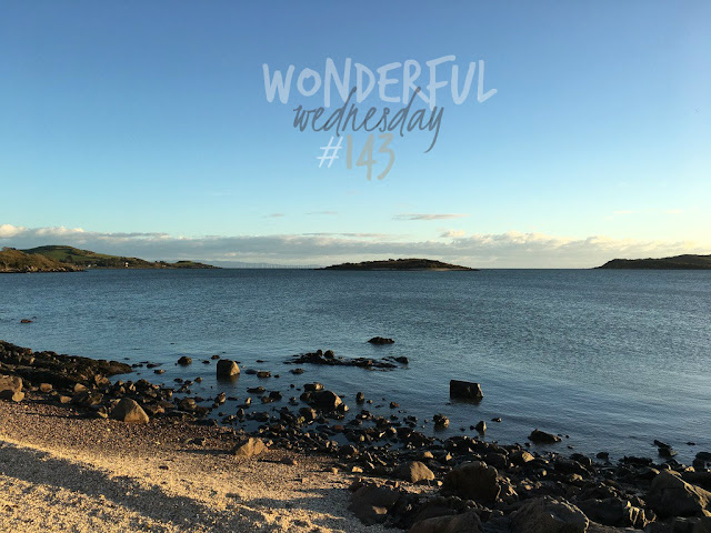 Wonderful Wednesday #143