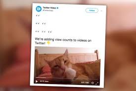 cara download video twitter tanpa aplikasi tambahan