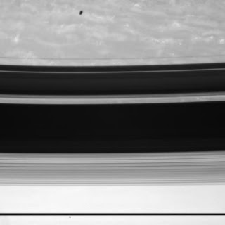 janus rings shadows and mimas