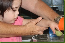 IMG_0544 IMG_0544