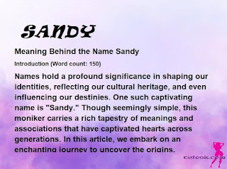 meaning of the name "SANDY"