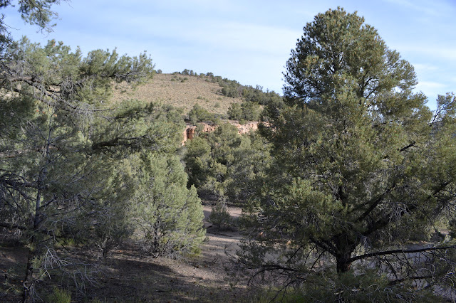 rock face through the trees