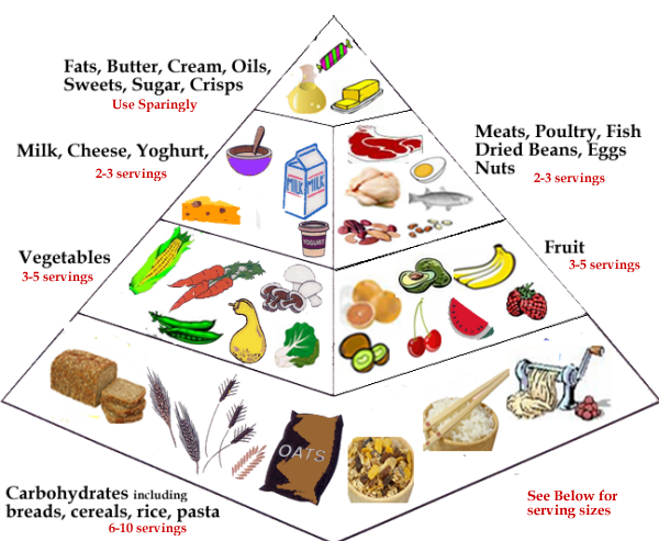 College Survival Guide: Nutrition