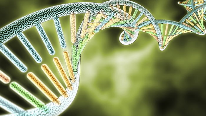 Fakta-fakta Penting yang Perlu Kita Tahu tentang DNA Manusia