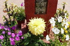 P1170927