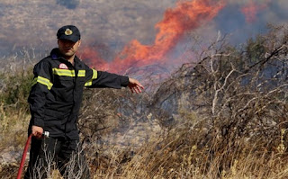 Υπό έλεγχο η φωτιά στην Αχλαδινή Ηλείας