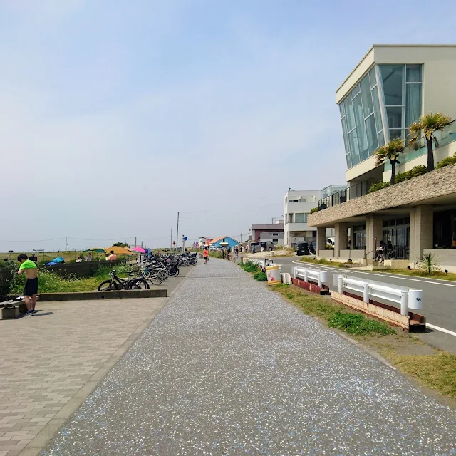 湘南海岸・砂浜のみち　茅ヶ崎サザンビーチ