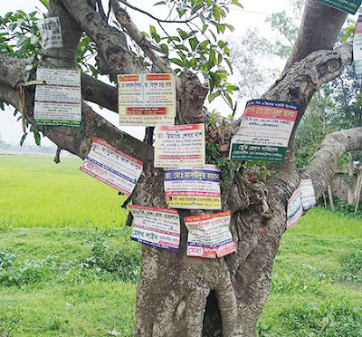 পেরেক ঠুকে বিজ্ঞাপন, মরে যাচ্ছে গাছ