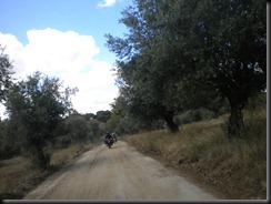 DSCN1453