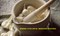 BAWANG PUTIH UNTUK  MENGATASI KOLESTROL