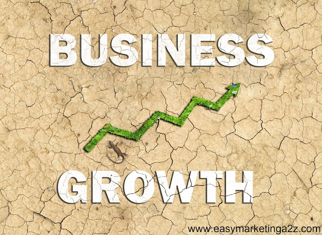 Business Growth 3