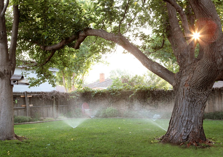 watersprinkler