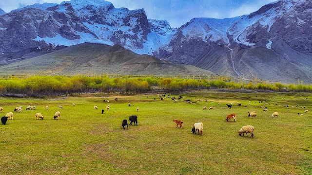 Beauty Of Baltistan Chunda Valley Platue