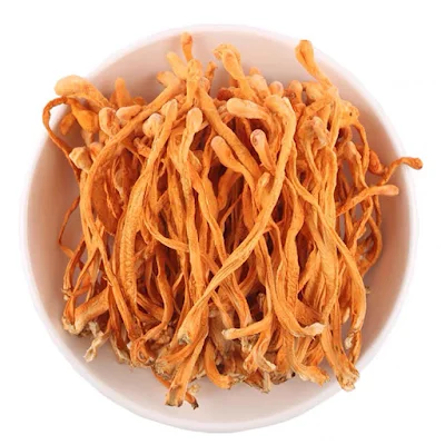 Cordyceps Mushroom Pure Culture Supplier Company in Greece