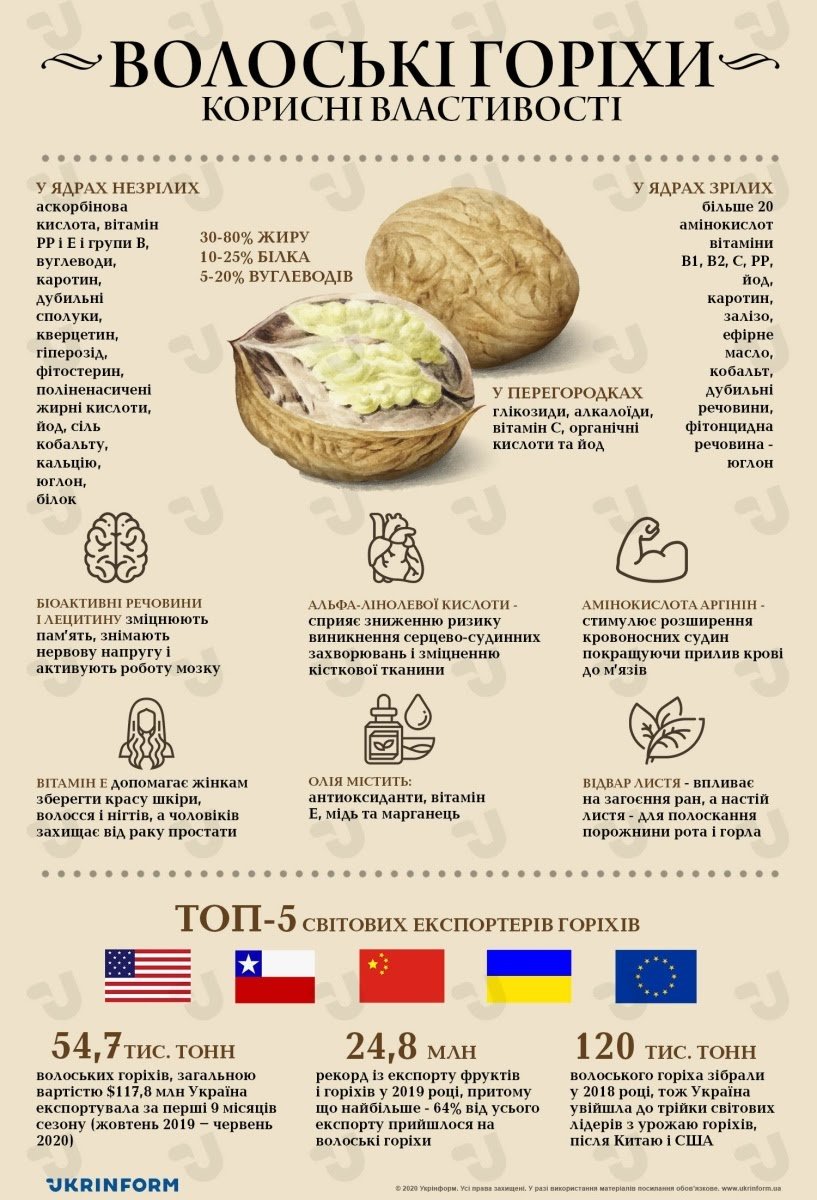 Корисні властивості волоських горіхів_УКРінформ