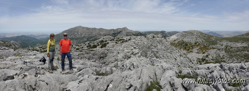 Nueve picos de la Sierra del Endrinal