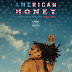 American Honey ( 2016 )