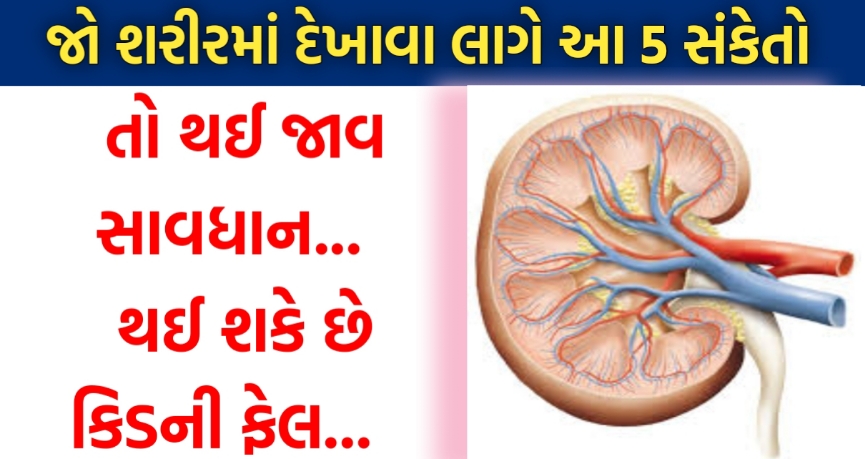 શરીરમાં દેખાઈ જાય આ 5 લક્ષણો તો થઈ જાવ સાવધાન, થઈ શકે છે કિડની ફેલ.