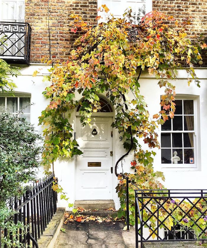 Woman Takes Stunning Pictures Of The Most Beautiful Front Doors In London