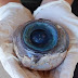Globo ocular gigante achado em praia pertencia a peixe-espada 