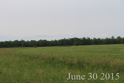 June 30 Field
