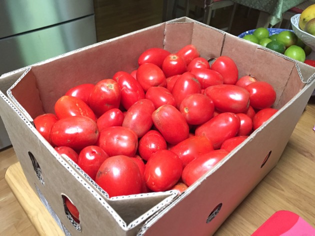 Homemade tomato relish