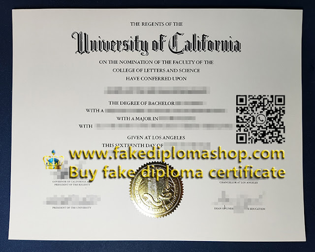 UCLA degree of Bachelor, University of California-Los Angeles diploma