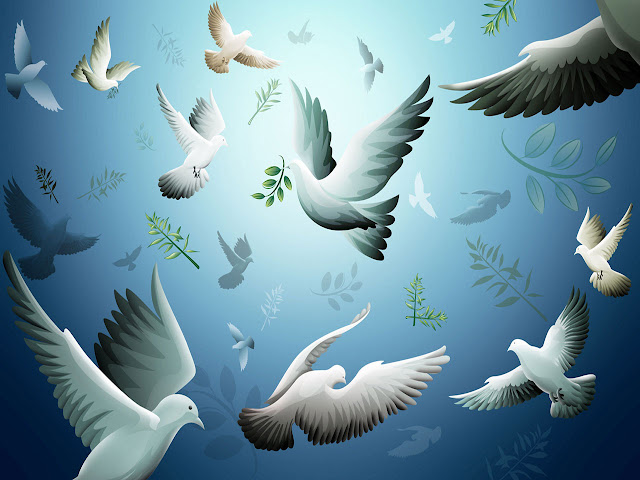 3d birds moving wallpapers