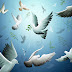 3d birds moving wallpapers